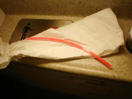 5P Penis insertion in aircraft lavatory