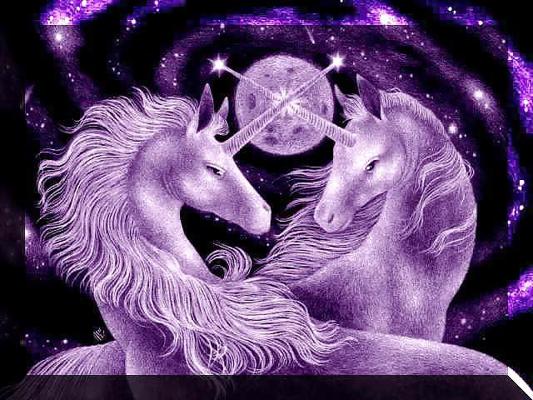10P Fantasy Dreams