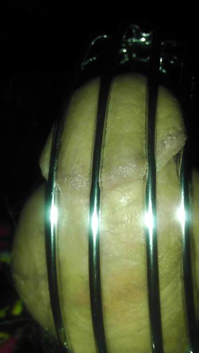 8P В клетке и отрицают