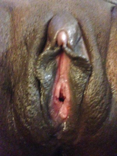 12P Chatte et bite en jeu