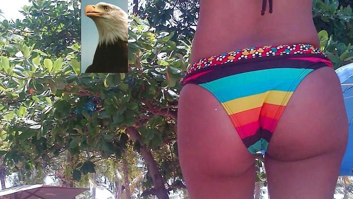 7P Candide latina public bikini cul