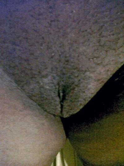 7P Nuevas de mi puta del pin lady
