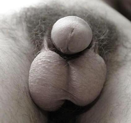 7P Male submission