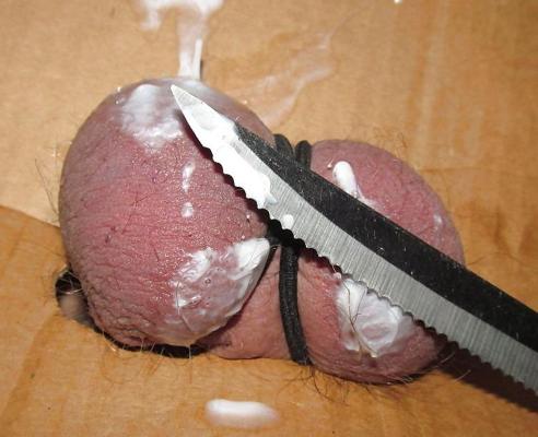 7P SPUNK  BALLS CBT