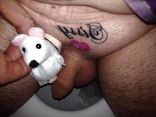 10P O ratinho bebê de Sissy Jemima fica famoso