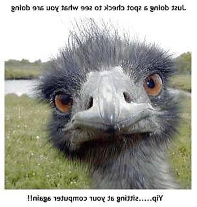 7P FunnY Quotes LOL