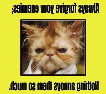 11P Funny quotes 3