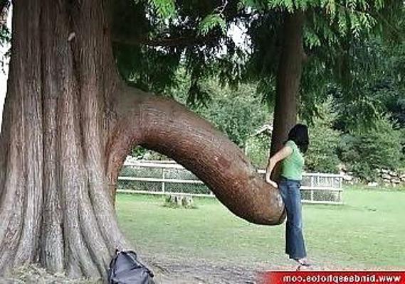7P Funny or Interesting