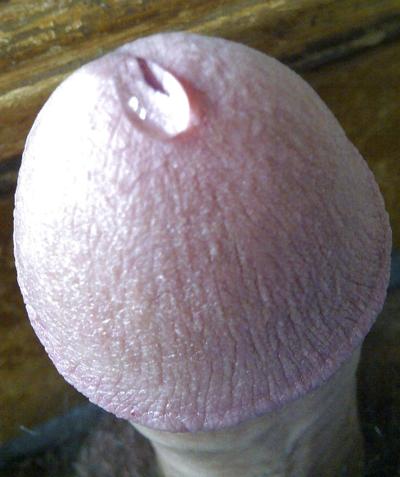 7P Quien quiere probarlo ? who wants to lick it up?
