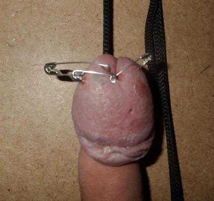20P Stretched pined cbt