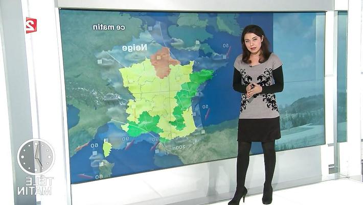 6P フランスのナイロンパンストお天気お姉さんアナイス