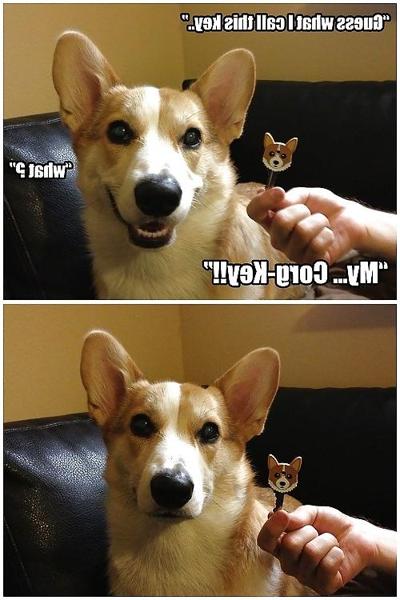 11P Funny stuff. A break from porn!