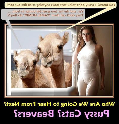 20P CCCXXXXI Images et affiches sous-titrées sexy et drôles 120913