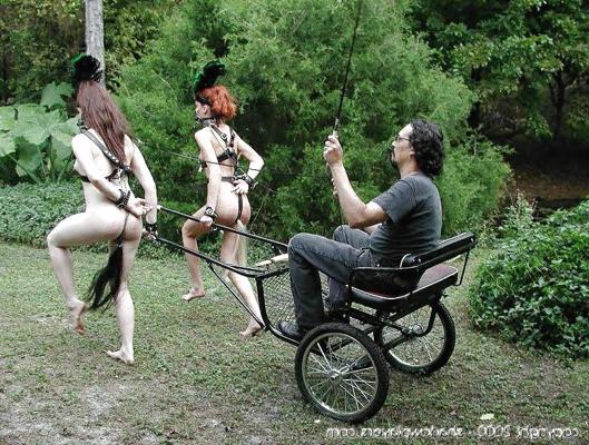 25P Pony Girl Play
