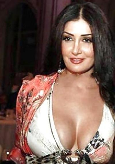 4P Ghada 3abd el razek 有名な女優、2014