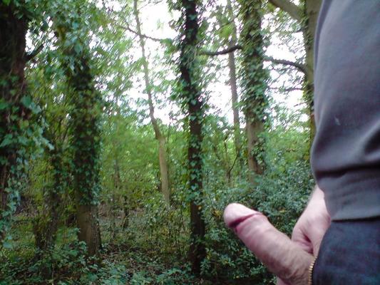 6P Ich wichse im Wald