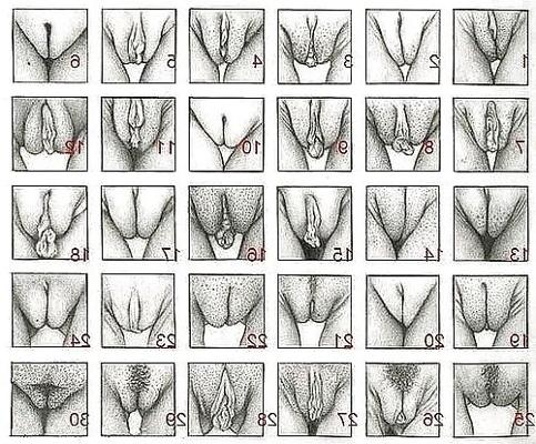 7P Choose your favorite pussy! (comment)