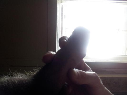 5P In the window