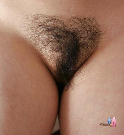 24P Hairy pussy whores 2