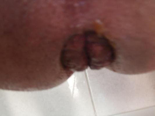 12P New butt plugs little pink huge red