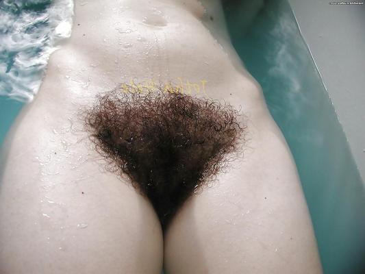 25P FIGA PELOSA 27, HAIRY PUSSY,CONO PELUDO,CHATTE POILUE