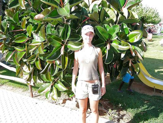 22P Stolen Vacation Pics