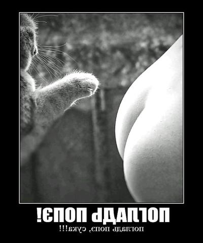 8P Funny #1