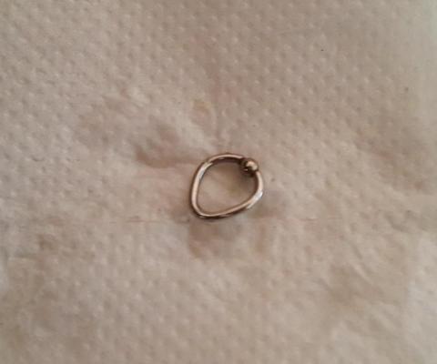 8P Piercing in my penis
