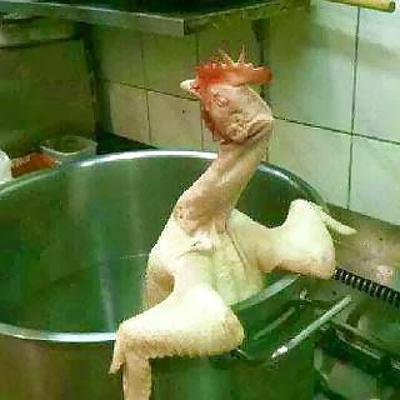 25P Funny pictures 2014