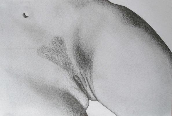 6P Dessins Érotiques