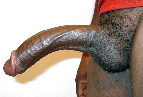 18P Worship Supreme Black Cock 