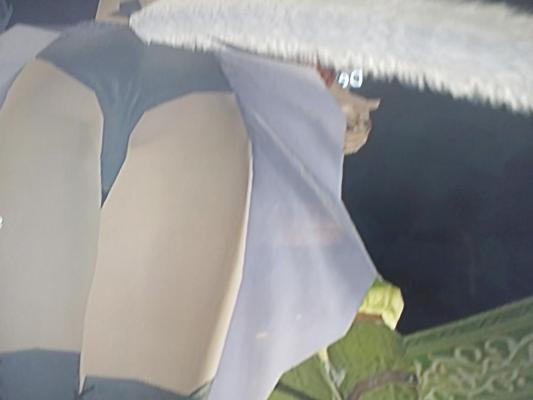 14P ビデオゲームのパンチラ
