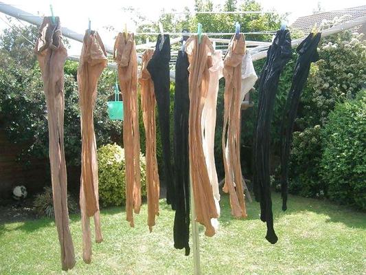 6P My tights pantyhose nylons stockings drying 