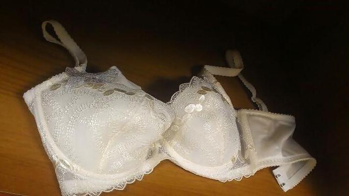 13P Friend's panties