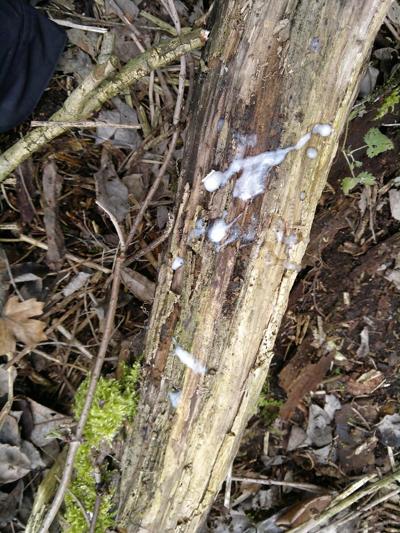 10P Slave Outdoor Task