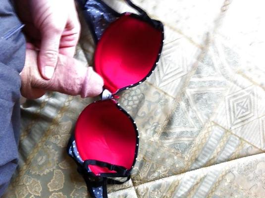6P Daughter's friends bras