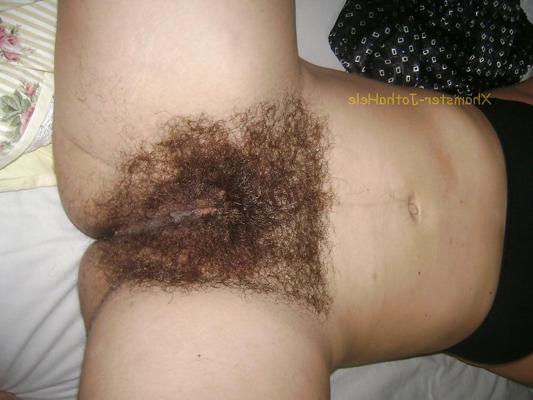 17P Pubes Forest - JothaHele