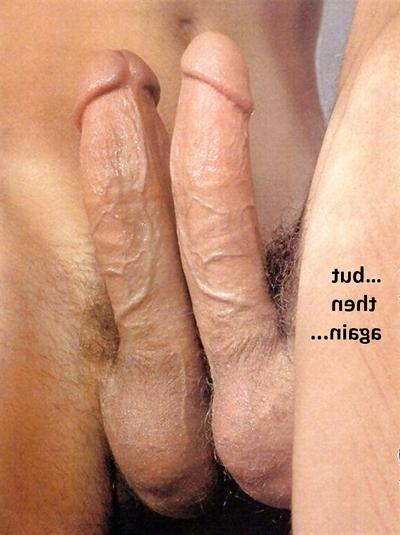 14P Test how gay you are