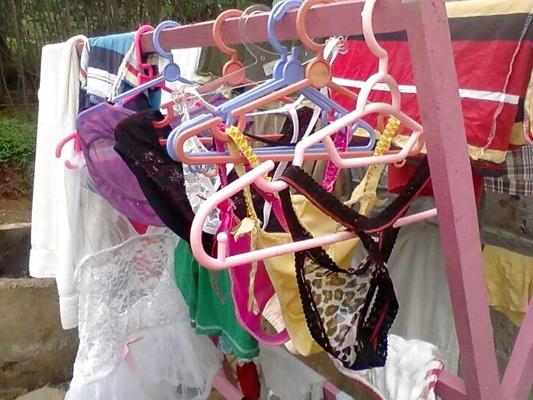 17P Bra lovers