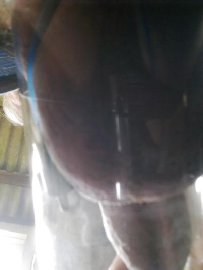5P Cock and balls in the big tube
