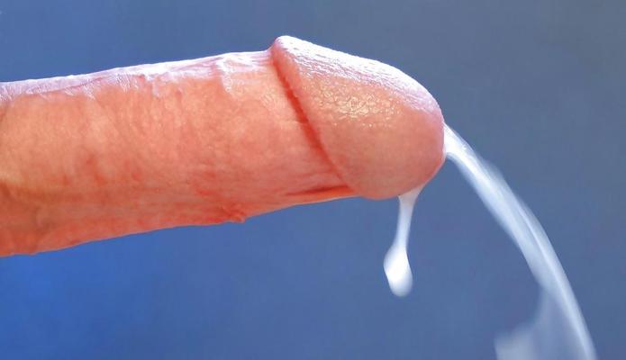 25P Gay Sperme Appât 5