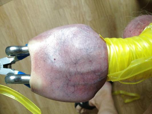 8P Me cbt
