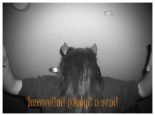 16P HALOWEEN-BILDER