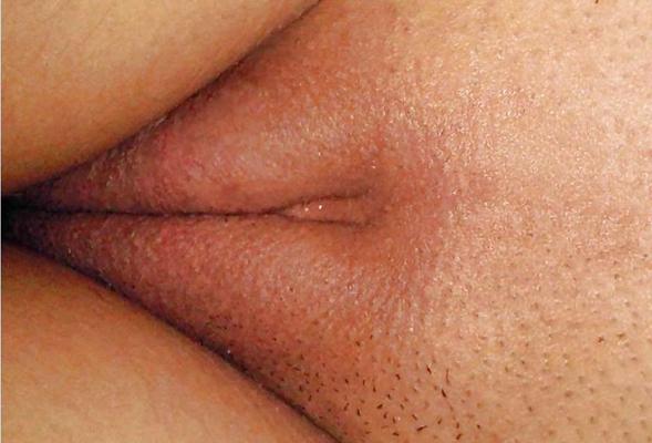 17P CHATTE CAMELTOE