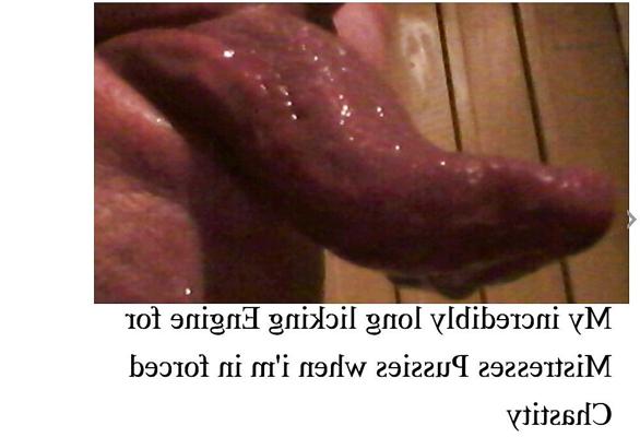 4P Incredibly long Licking Engine for Mistresses Pussies