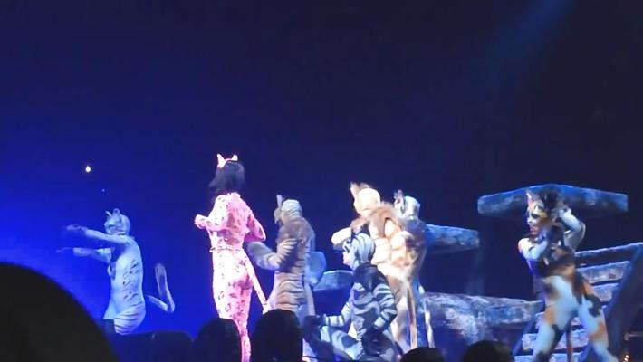 18P Katy Perry in einem rosa Catsuit