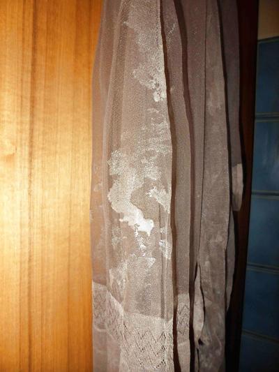 25P Sperm on devine stockings!!!!