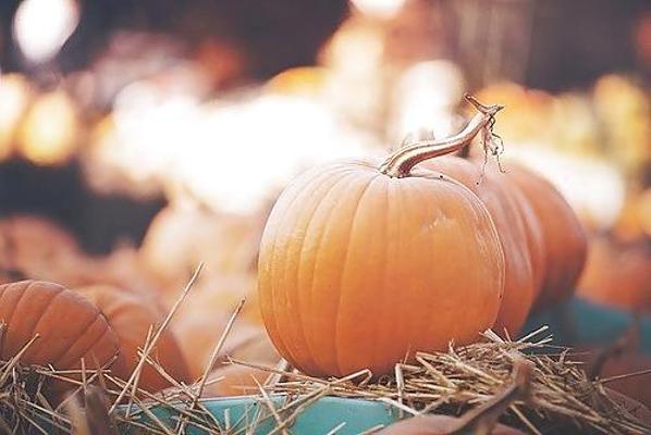 25P ハッピーハロウィン！