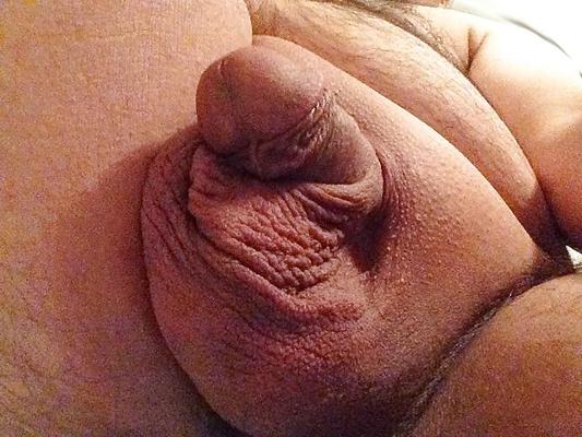 14P More soft cock pics