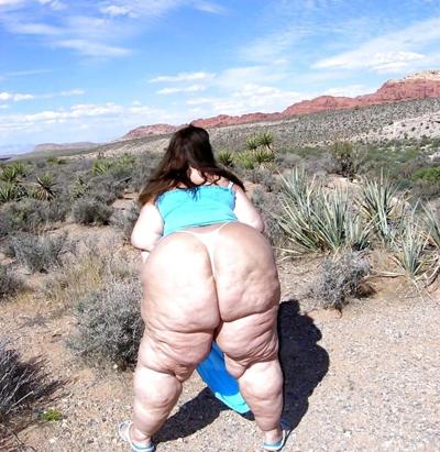 25P BBW COLLECTION PT124